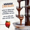 image:imageNostalgia 4 Tier Electric Chocolate Fondue Fountain Machine for Parties  Melts Cheese Queso Candy and Liqueur  Dip Strawberries Apple Wedges Vegetables and More  32Ounce  Stainless SteelStainless Cascading Fountain