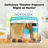 image:imageNostalgia Theater Popcorn Bulk Pack  24 Packets of 4 oz Kernels Seasoning Salt amp Butter Flavored Oil  Use with Kettles amp Air Poppers  Movie Night Supplies16 Oz